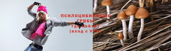 мефедрон Гусев