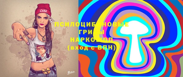 мдма Дмитриев