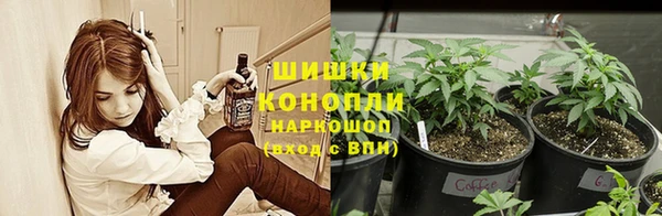 spice Фурманов