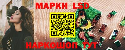 mdma Гатчина