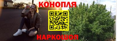 mdma Гатчина
