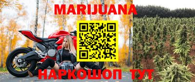 прущие грибы Апрелевка