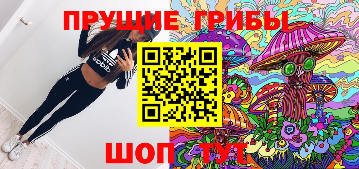 Галлюциногенные грибы Magic Shrooms  Можга  Псилоцибиновые грибы Cubensis 