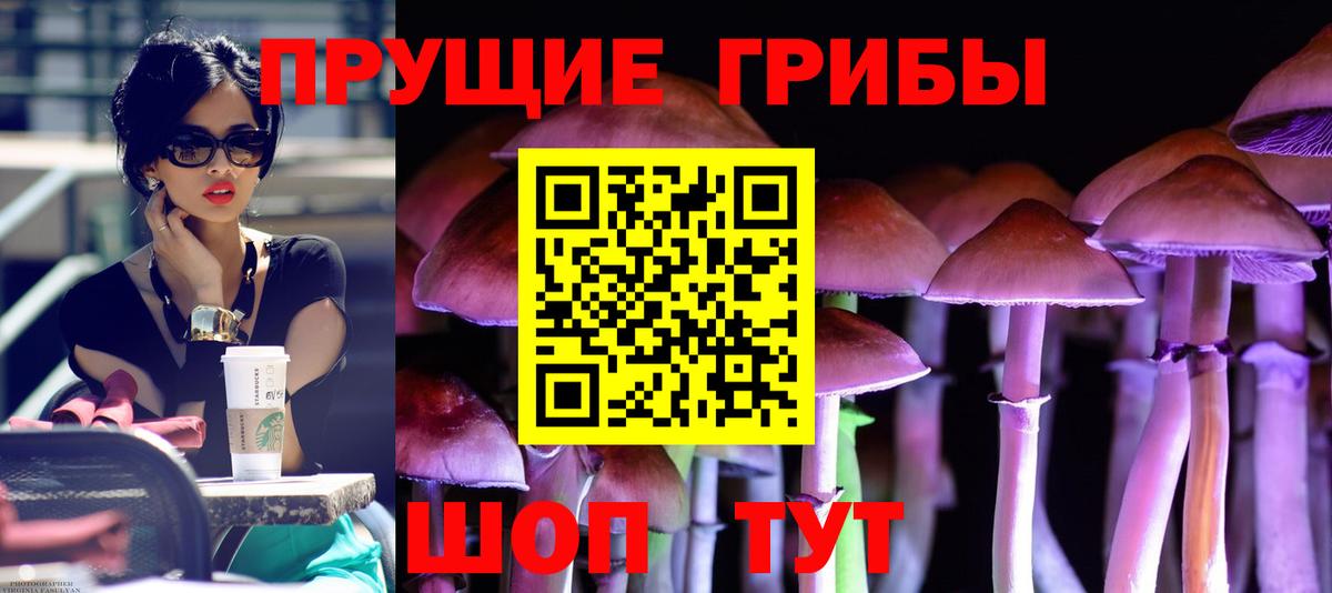 Псилоцибиновые грибы Psilocybe Можга